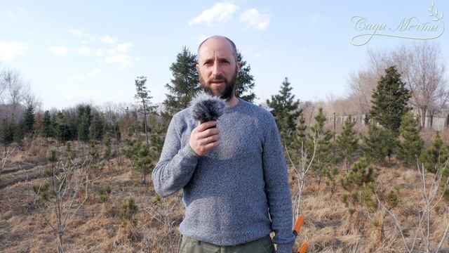 Анонс видеообзора сучкорезов #СадовыйЭксперт смотреть онлайн