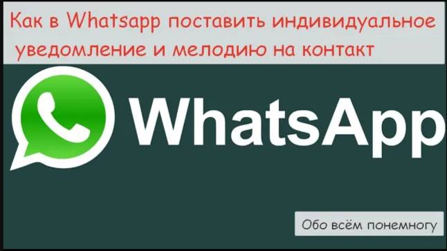 Индивидуальное уведомление и мелодия для контакта вватсапп