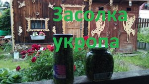Засолка укропа на зиму