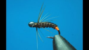 Мушка Глухарик (Holey Head Capercaillie Tail Nymph).