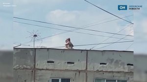 Очевидец заснял любовные ласки на крыше орловской девятиэтажки