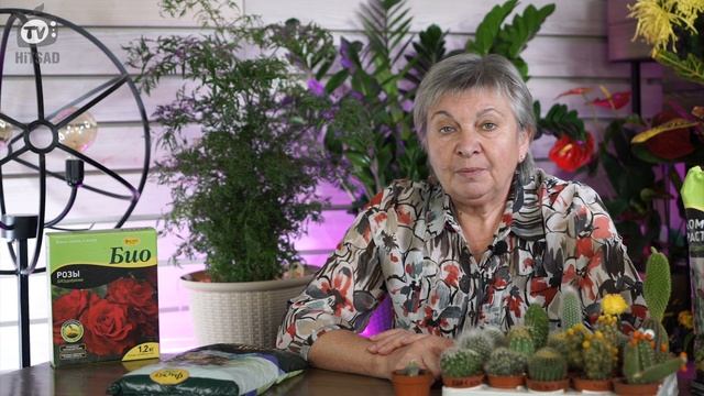 КАКТУС ТОЧНО ЗАЦВЕТЁТ ✔️ Как добиться цветения у кактусов ✔️ Все ли кактусы цветут