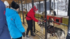 Зимняя Карелия. Что посмотреть и чем заняться