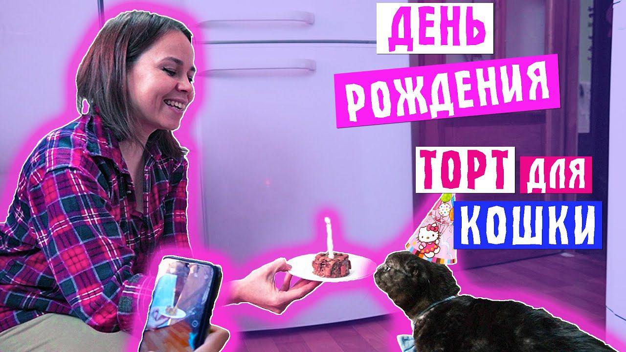 ДЕНЬ РОЖДЕНИЯ КОШКИ ПУМЫ | ТОРТ | МЫ ВСПОМИНАЕМ КАК ПРОШЛИ ДВА ГОДА