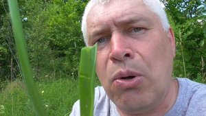 Геннадий Горин на поле рассказывает про цветы, про дикий чеснок