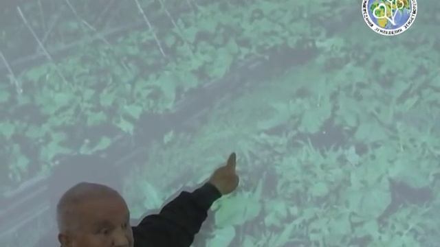 Б.А.Бублик - Огород для ленивых
