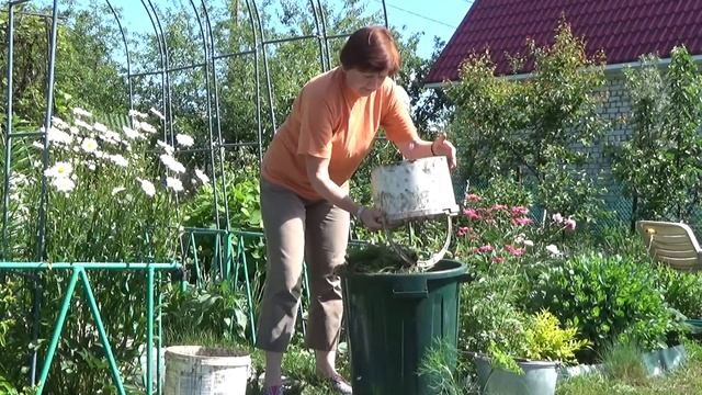 Травяной настой для подкормки ВСЕХ растений смотреть онлайн