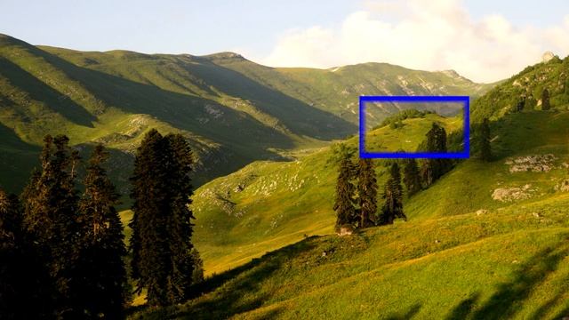 2018 Медведь ?
