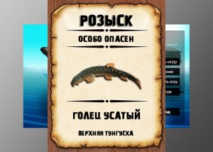 Мутанты рр3. Голец усатый. Верхняя Тунгуска.