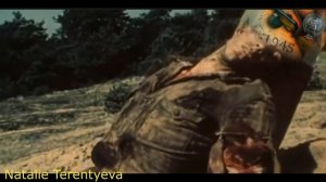 Cover   Ты же выжил солдат