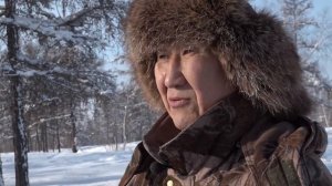 Якутская охотничья лайка