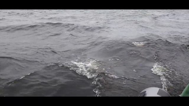 оз. Вежмозеро и дорога до озера.