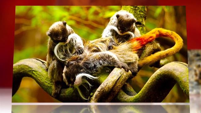 Earth Could Reach Devastating Ecological Tipping Point by 2025 смотреть онлайн