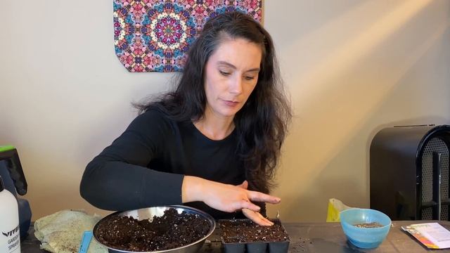 Sowing Angelonia смотреть онлайн