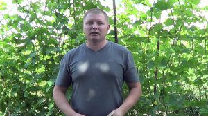 Обработка винограда. Дополнение