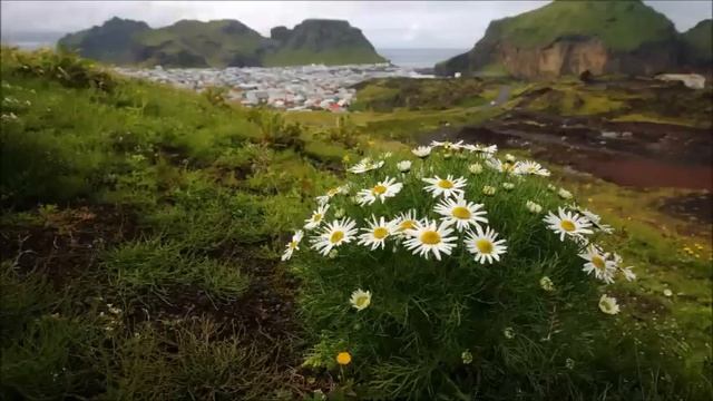 Золовка купила квартиру в соседнем подъезде, и наши отношения стали стремительно портиться. Истории смотреть онлайн