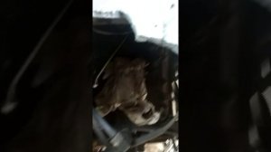 Снимаем КПП на Фреде, меняем сцепление.
