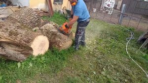 Husqvarna 372 xp awesome chainsaw