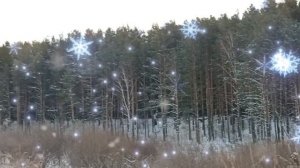 В лесу родилась ёлочка