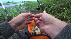 Рыбалка на закидушки летом 2021. Ловля на пружину. Разведал новое место.