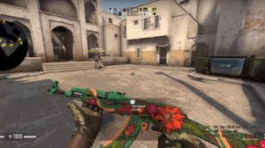 AK 47 Wild Lotus factory new csgo showcase