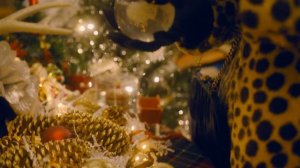 White Christmas Cover by Morgan James
