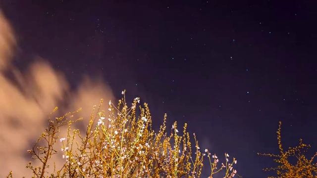 РЕЛАКС звуки природы лето вечерний луг/RELAX nature sounds summer evening meadow смотреть онлайн