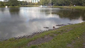 парк Ангарские пруды, Москва
