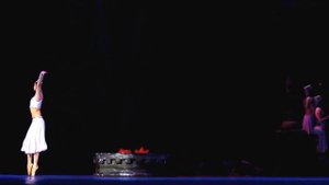"Баядерка". Кремлёвский балет. "La Bayadere". Kremlin ballet.