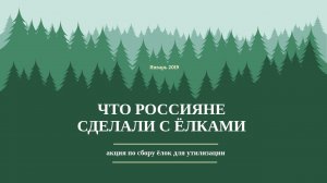 ЧТО РОССИЯНЕ СДЕЛАЛИ С ЕЛКАМИ ПОСЛЕ НОВОГО ГОДА