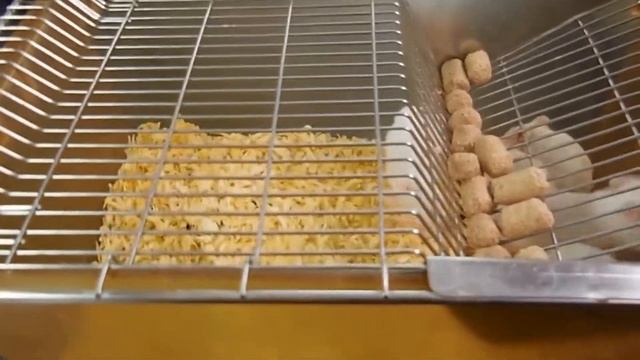 Сладкая газировка вредна для здоровья