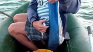 рыбалка с лодки в Таганрогском заливе