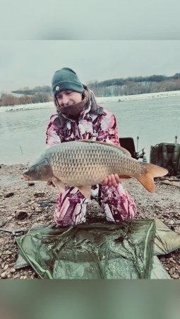 Поймал карпа на реке в -15 😱 #carptoday #carpfishing
#рыбалка