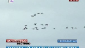 Остров Колгуев может обрести статус природного заказника