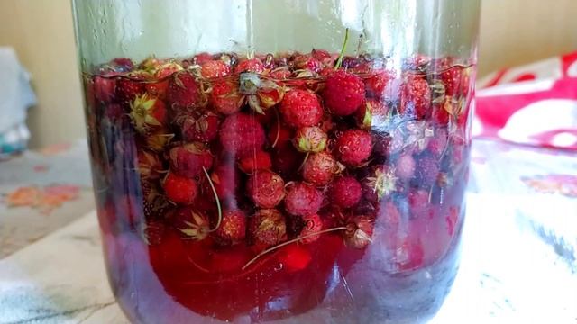 Компот из луговой клубники на зиму