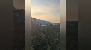 Первые минуты после посадки на кукурузное поле в подмосковье