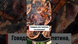 Говядина или телятина, что полезнее