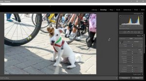Уроки Lightroom. Урок 17. ЭКСПОЗИЦИЯ. Часть 1. Общая яркость фотографии в Adobe LIGHTROOM.