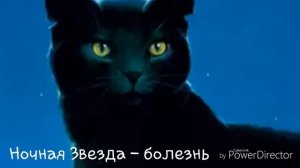 Смерти котов - воителей. #2