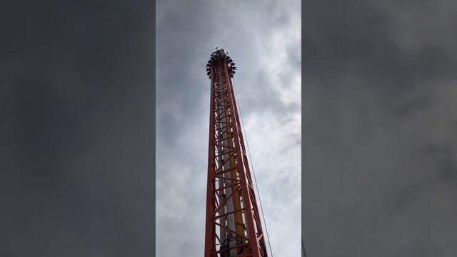 Репортаж из Сочи парка. Маргарита Плюсова . смотреть онлайн