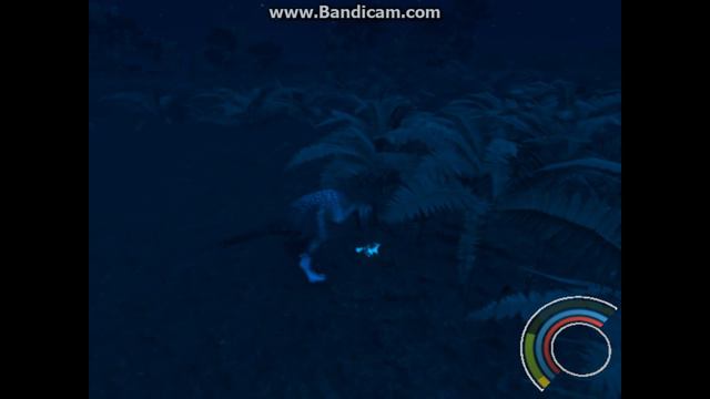 Bird Brain смотреть онлайн