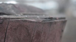 Canon eos 400d. Полный обзор зеркалки