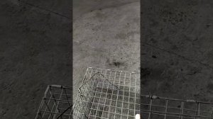 Клетка на фазана.