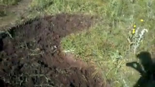 начинаем копать колодец (1) смотреть онлайн