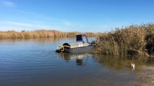 Как косить камыш с воды