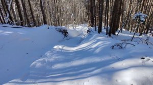 Карпатский снег оффроад 4х4 Ниссан патрол Nissan Patrol