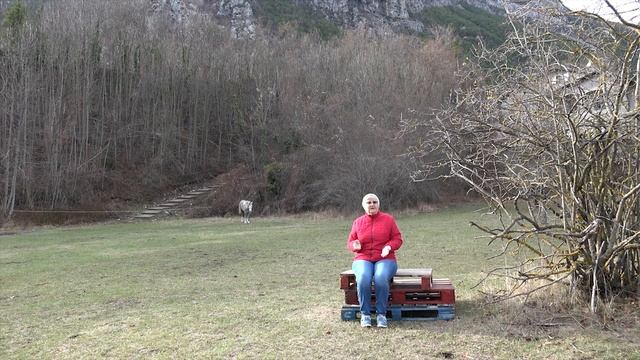 Напал ДИНОЗАВР на БАБКУ которая рассказывала АНЕКДОТ / The dinosaur attacked, it's scary! смотреть онлайн