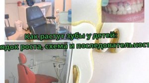 Как растут зубы у детей: порядок роста, схема и последовательность