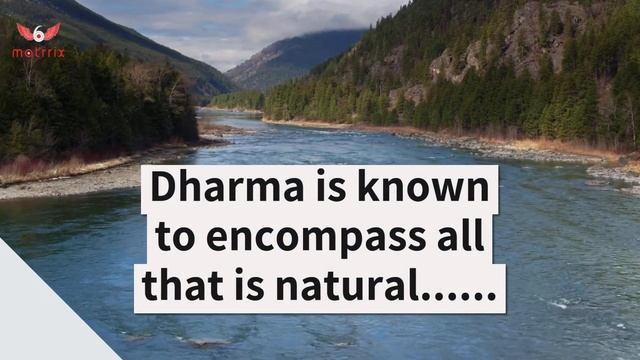 Mindfulness Practitioner: Dharma, Karma and Maya смотреть онлайн