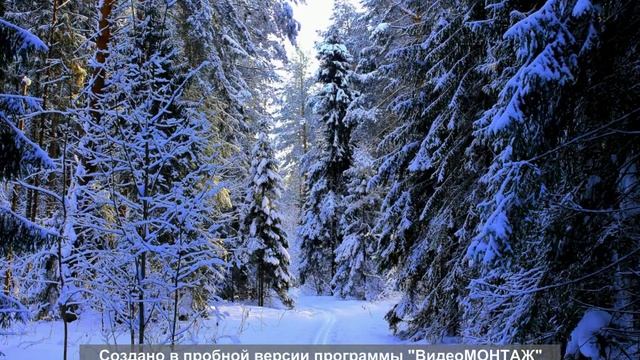Зимний лес смотреть онлайн